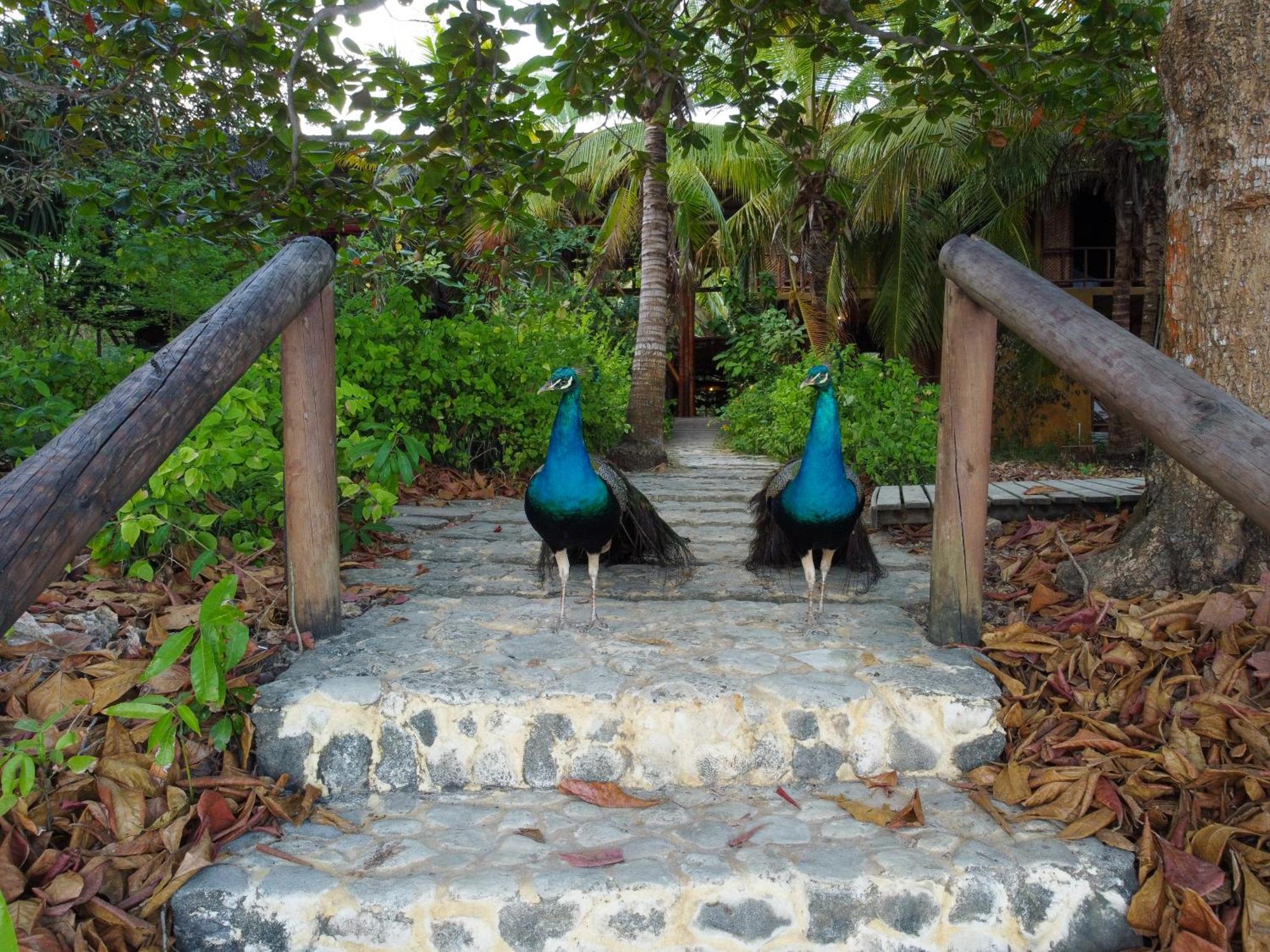 Willa Isla Fuerte Eco House Puerto Limon Zewnętrze zdjęcie